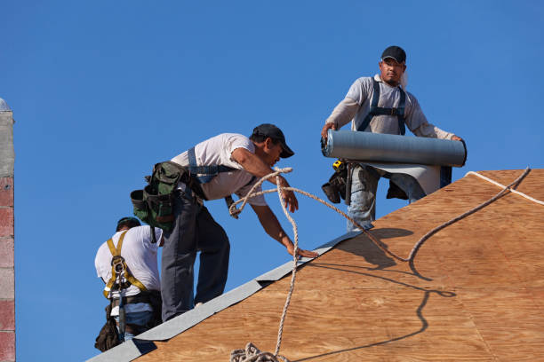 Best Metal Roofing Contractor  in Brentwood, TN