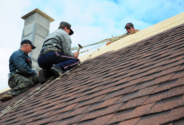 Roof Gutter Cleaning in Brentwood, TN