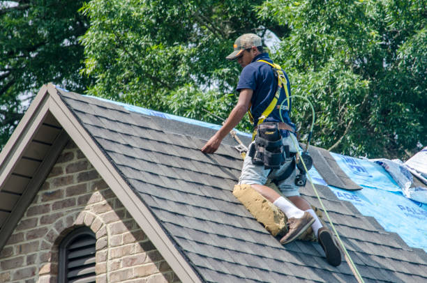 Best Storm Damage Roof Repair  in Brentwood, TN